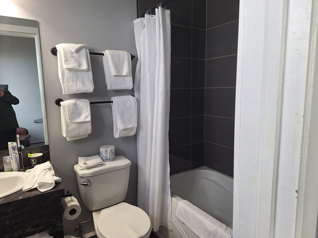 Motel Rimouski主图