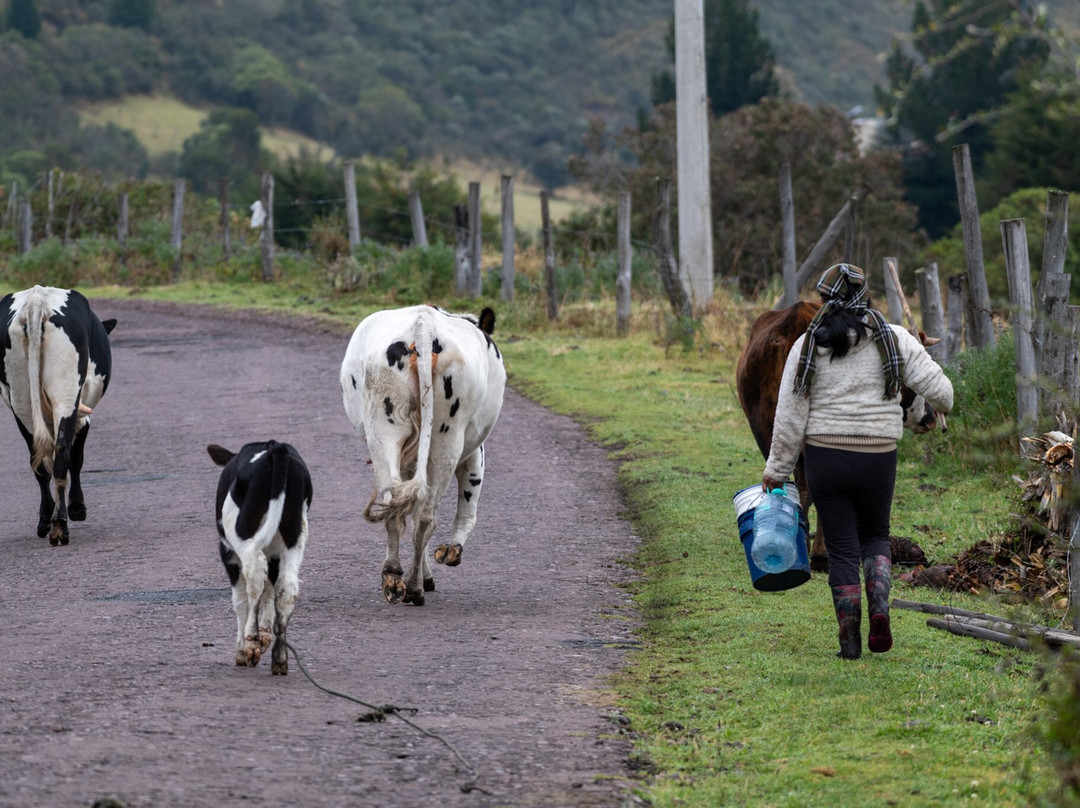 Costa Rica Focus-圣何塞必去景点