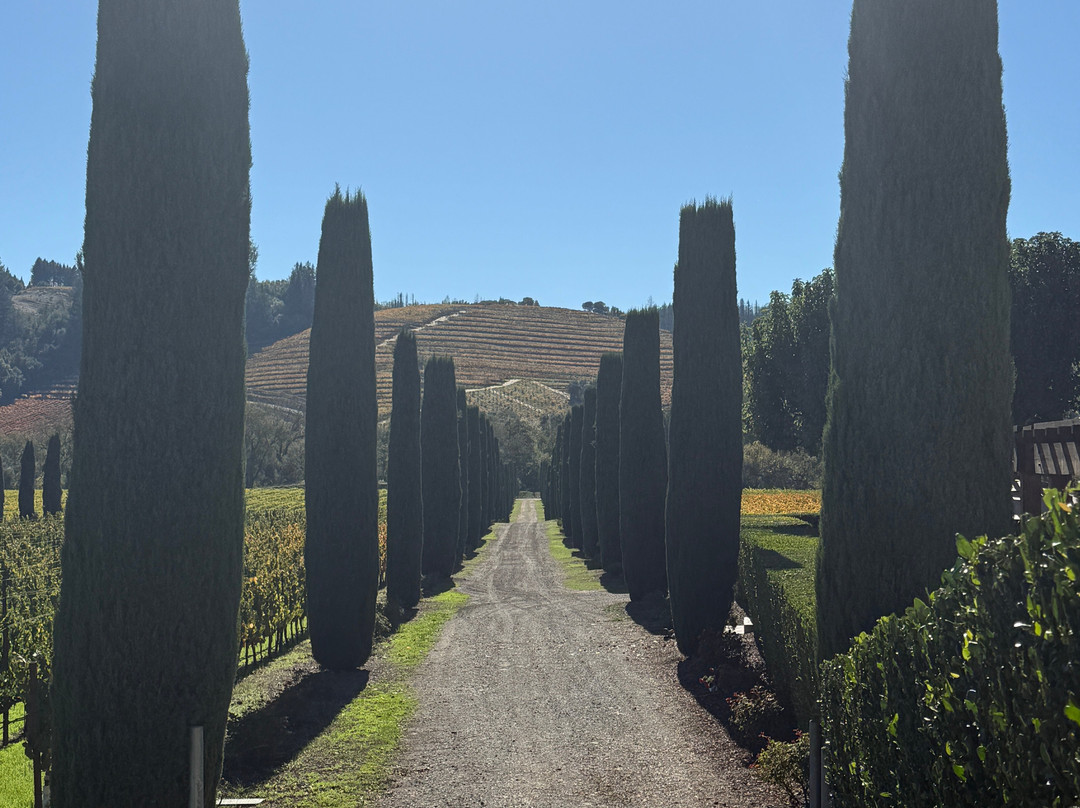 Ferrari-Carano Winery-希尔兹堡必去景点