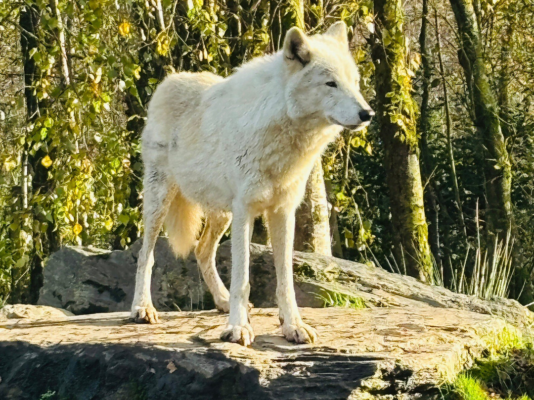Wild Ireland-Burnfoot必去景点