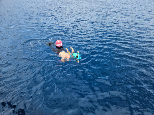 Fanie Boat Tours-科莫多必去景点