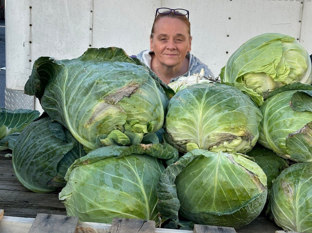 The Green Dragon Farmer's Market-Ephrata必去景点