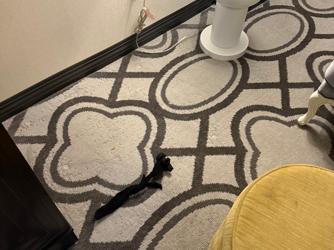 拉斯维加斯巴黎酒店主图