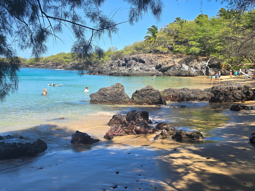 Waialea Beach-卡慕也拉必去景点