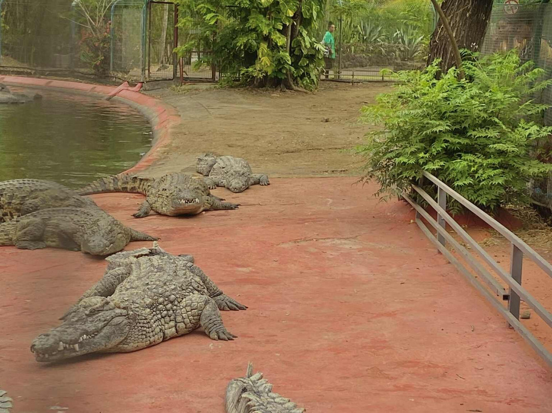 Croc Parc-L'Etang-Sale必去景点