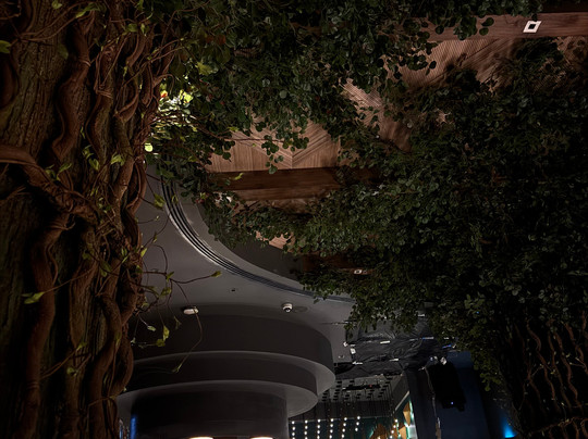 Occo Restaurant Business Bay