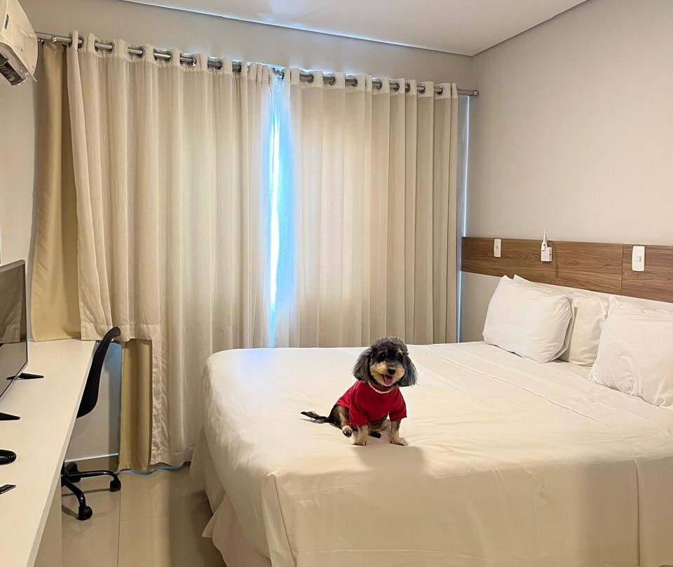 Bristol Aline Hotel主图