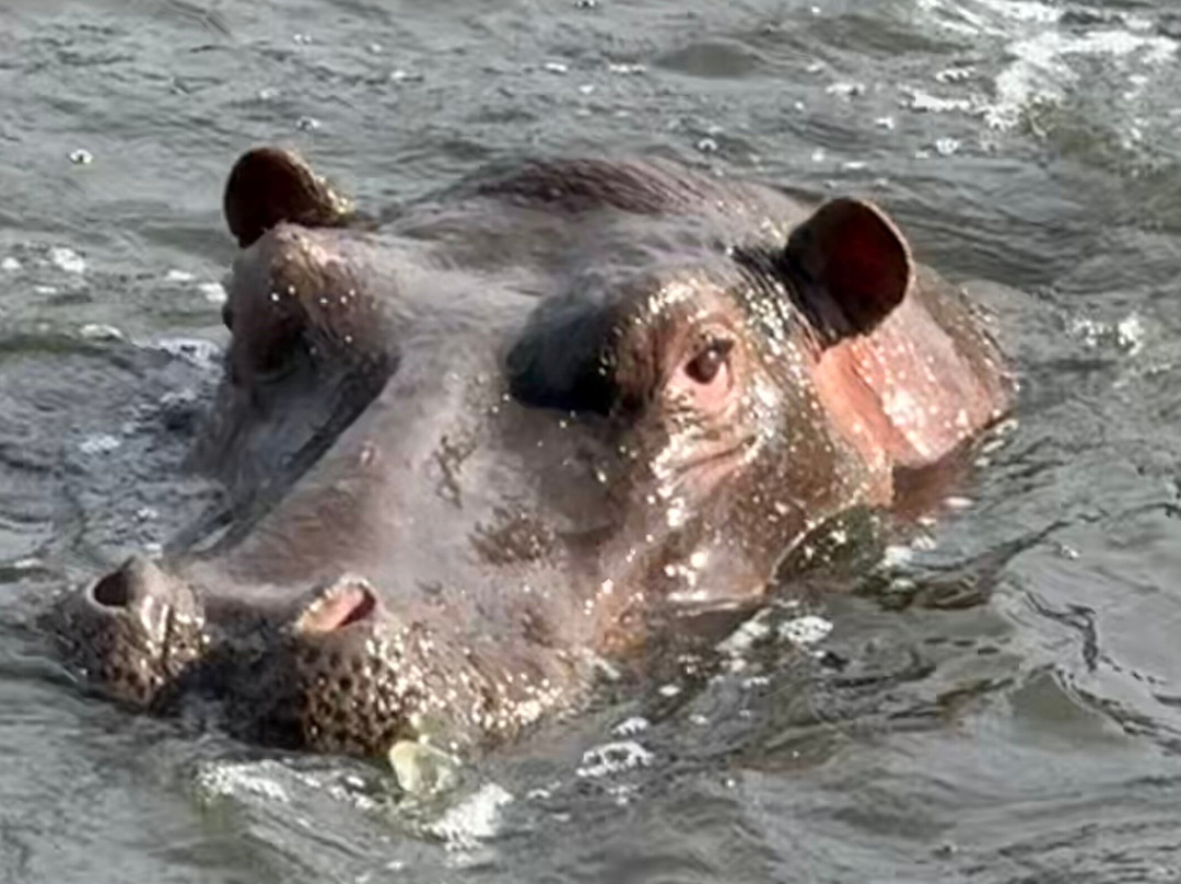 Jemu Expeditions-南由基必去景点