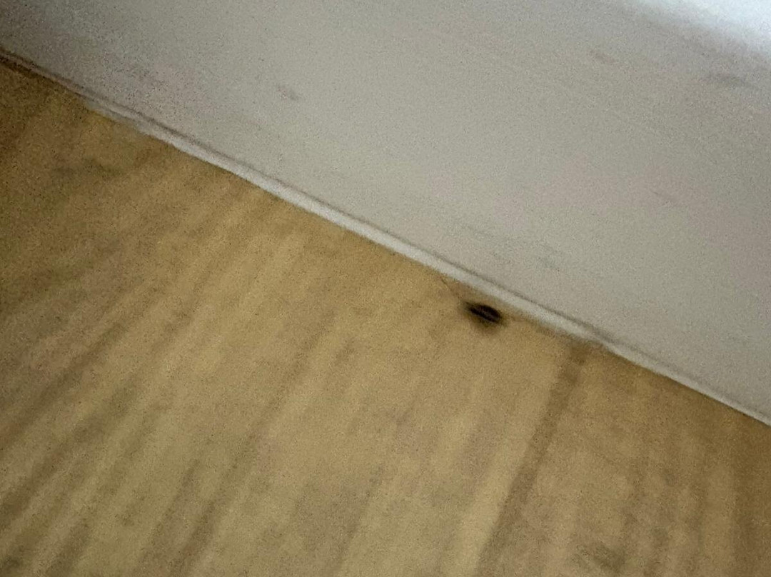 阿根斯酒店主图