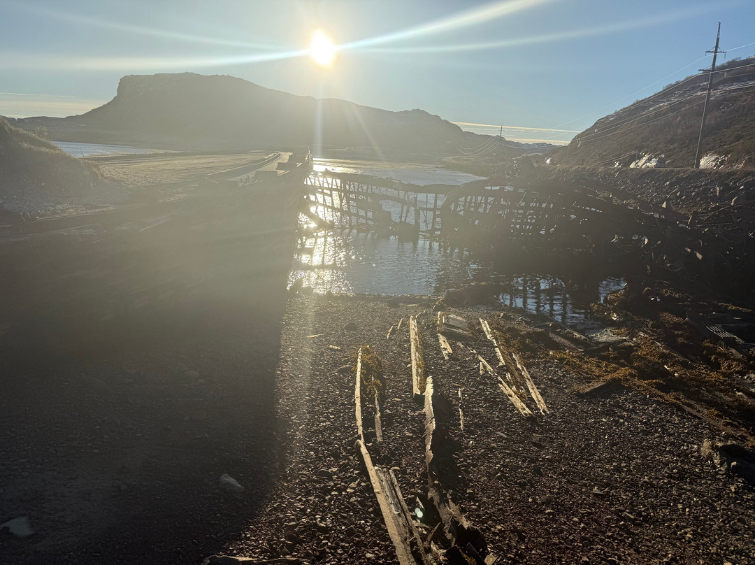 Arctic Safari-摩尔曼斯克必去景点