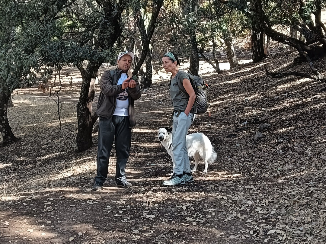 Saleh Boudaoud Official Guide-Azrou必去景点