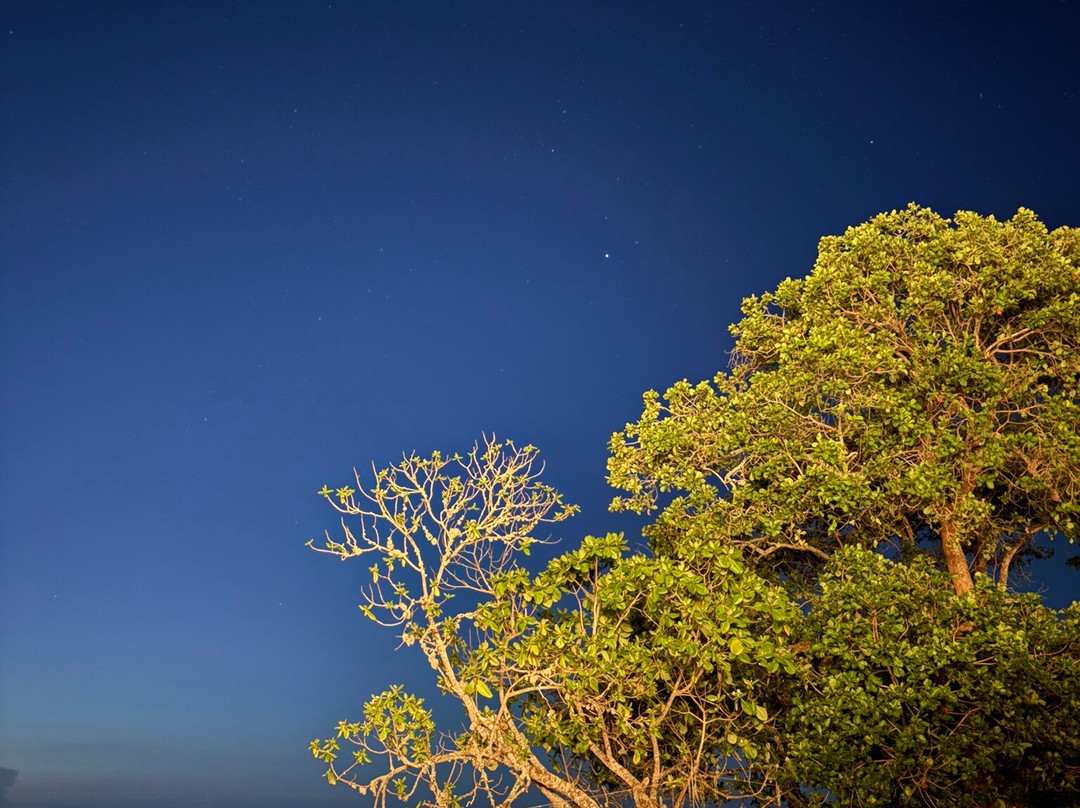 Pemba Island-奔巴岛必去景点