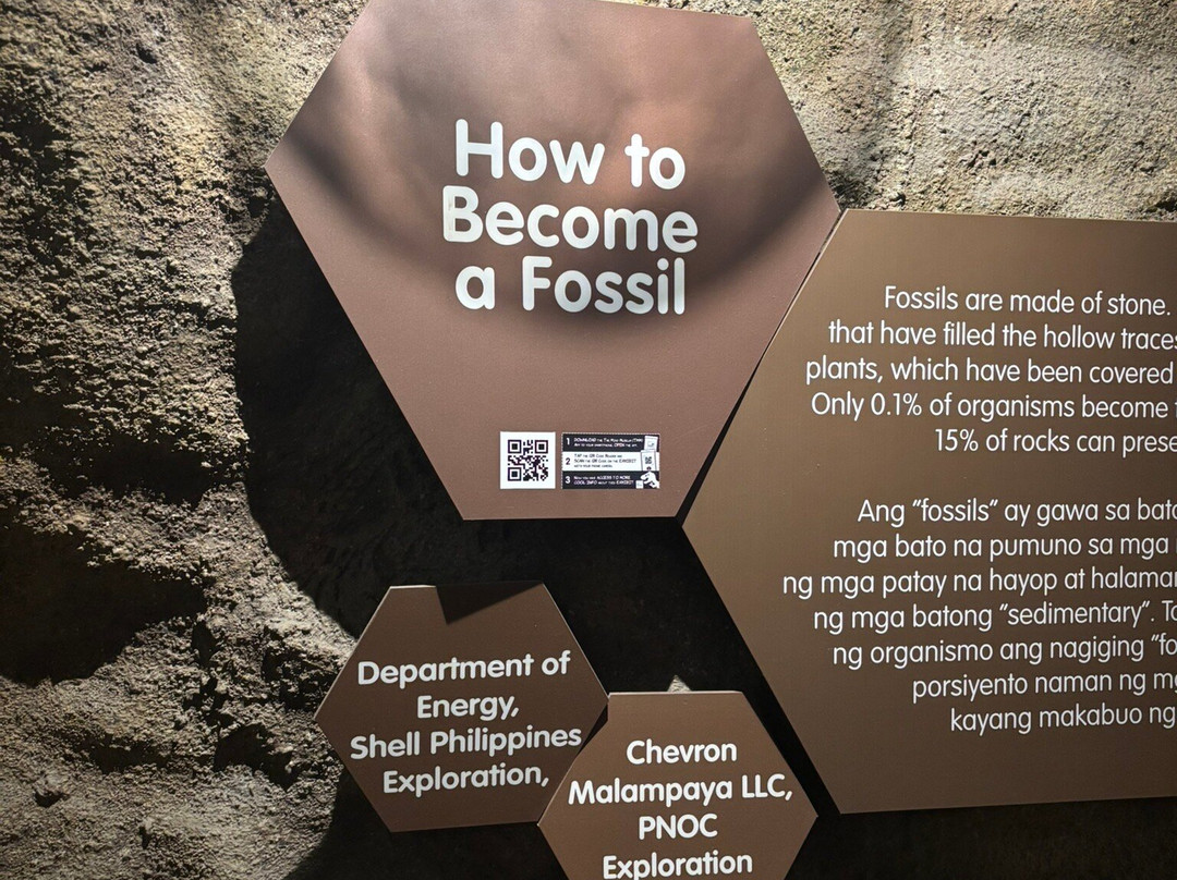 达义心灵博物馆-塔吉格必去景点