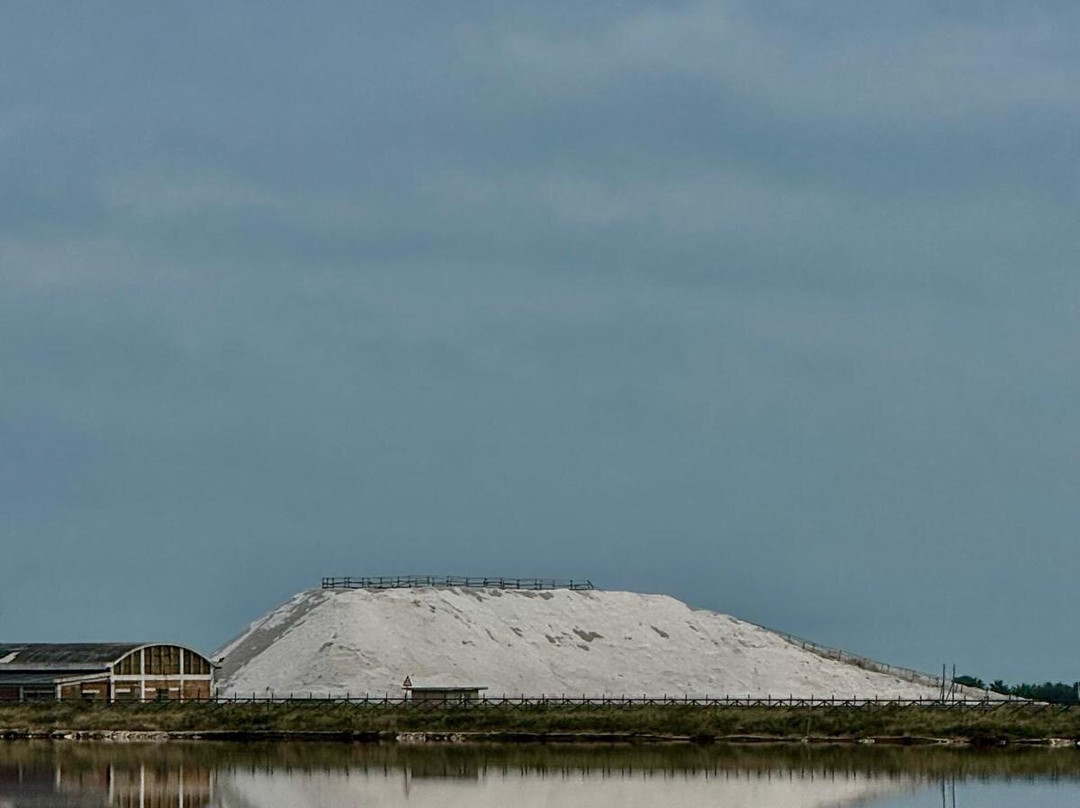 Riserva Naturale di Stato Saline di Margherita di Savoia-Margherita di Savoia必去景点