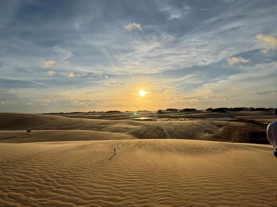 Farol da Foz Ecoturismo-Piacabucu必去景点