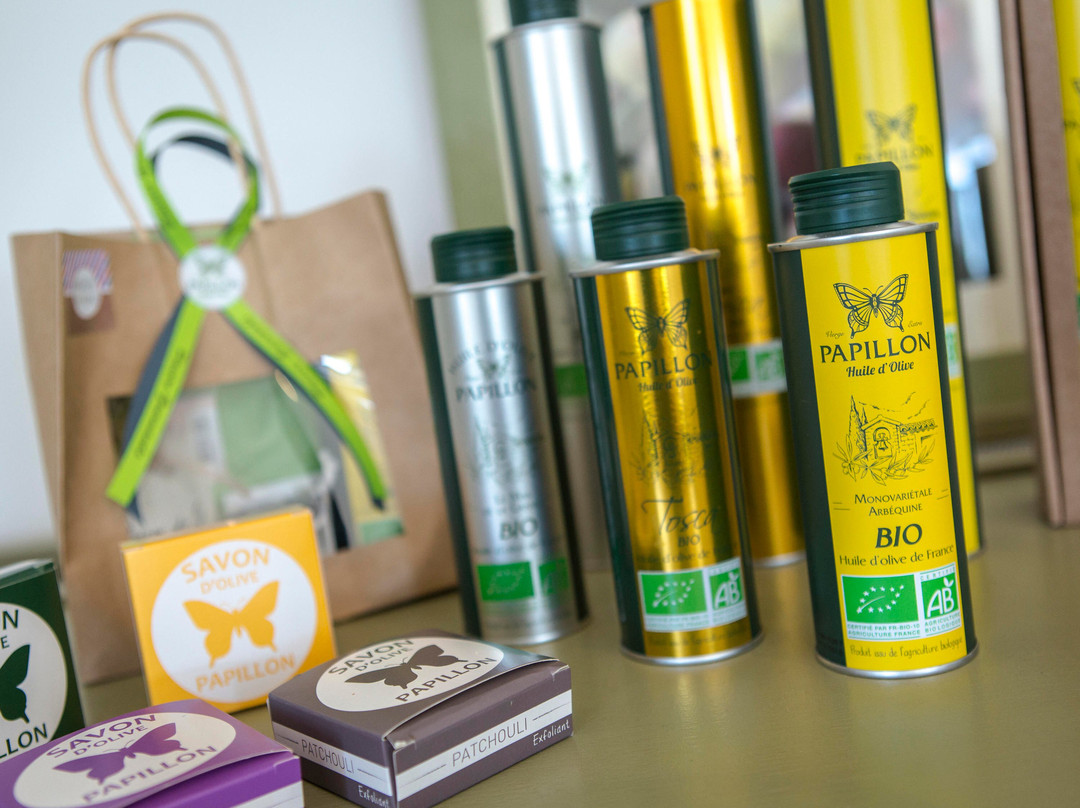 佩皮尼昂里沃萨尔特诺富特酒店主图