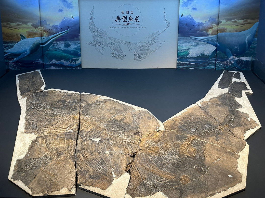 贵州地质博物馆-贵阳市必去景点