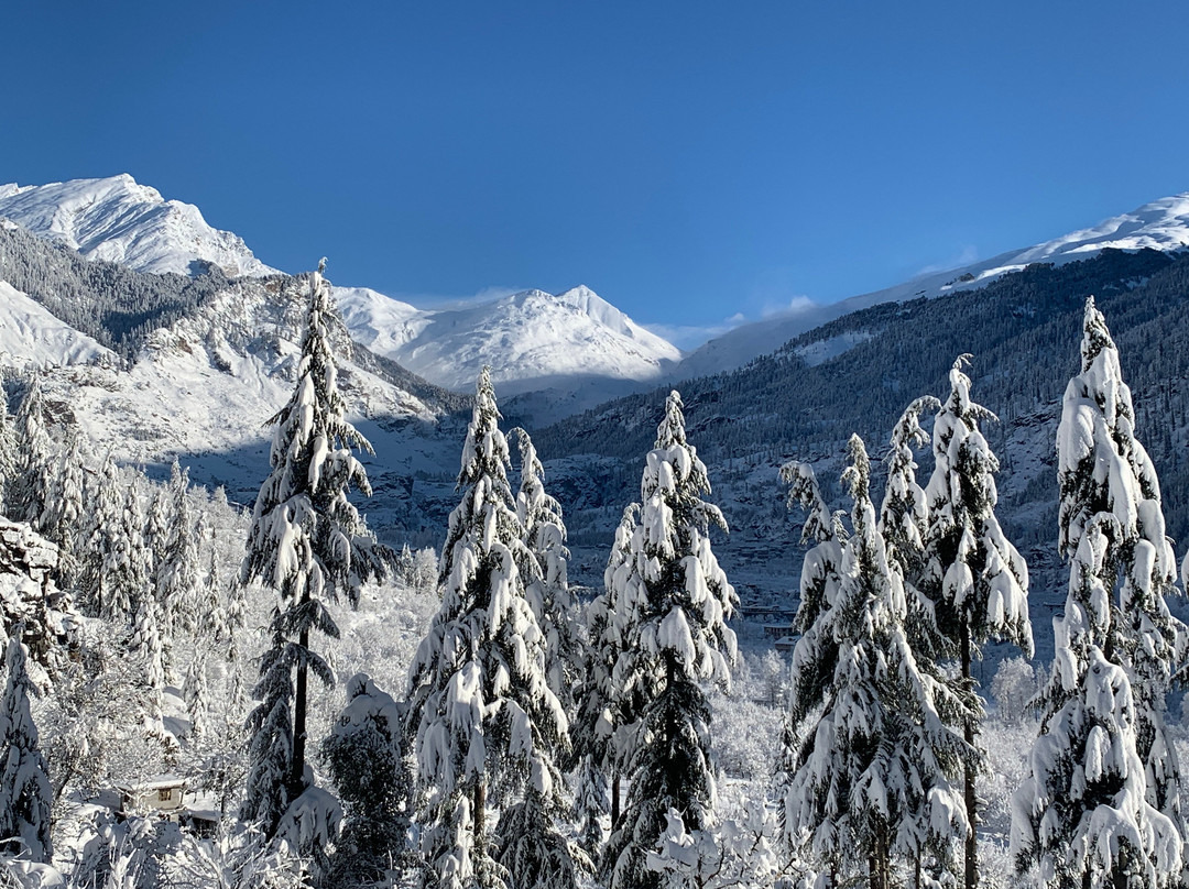 Defri酒店住宿-Playground Adventure Hostel