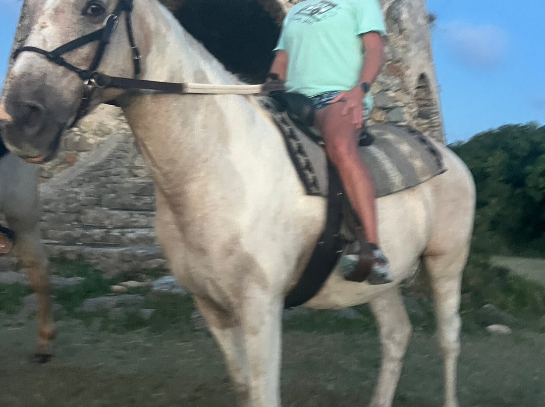 Equus Rides Horseback Riding St. Croix-Frederiksted必去景点