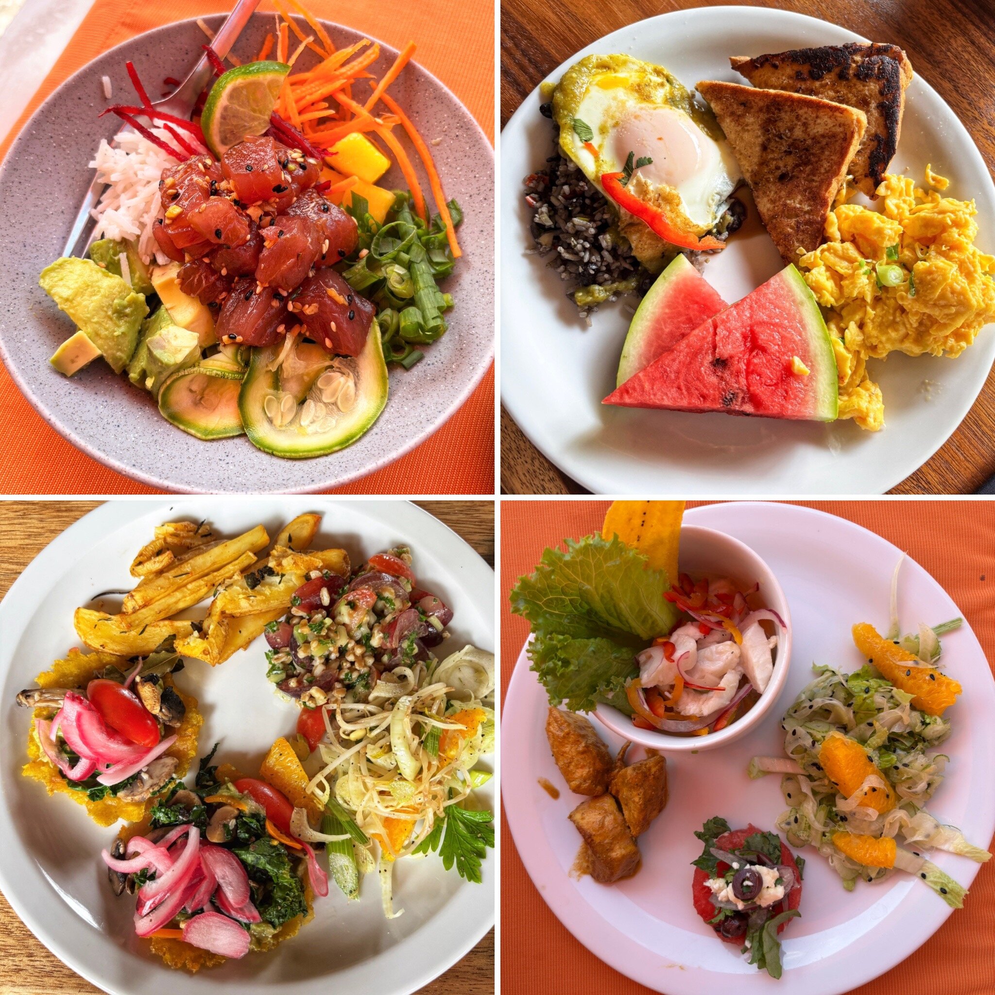 Bodhi Tree Yoga Resort-官方