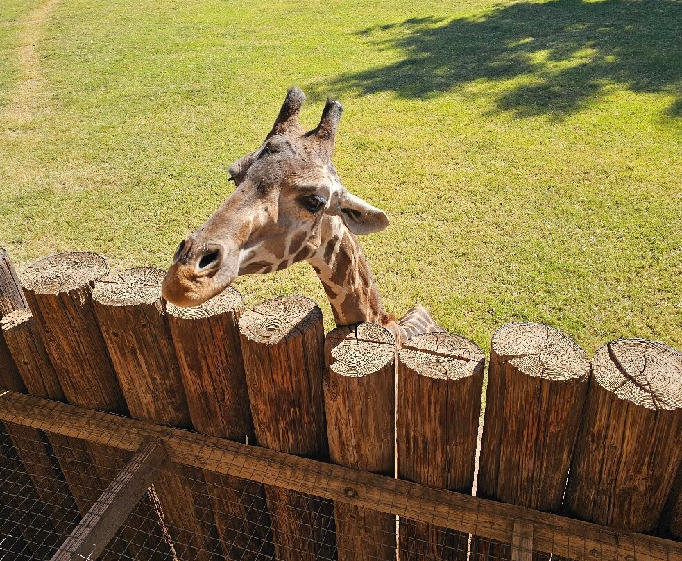 Wildlife World Zoo and Aquarium-Litchfield Park必去景点
