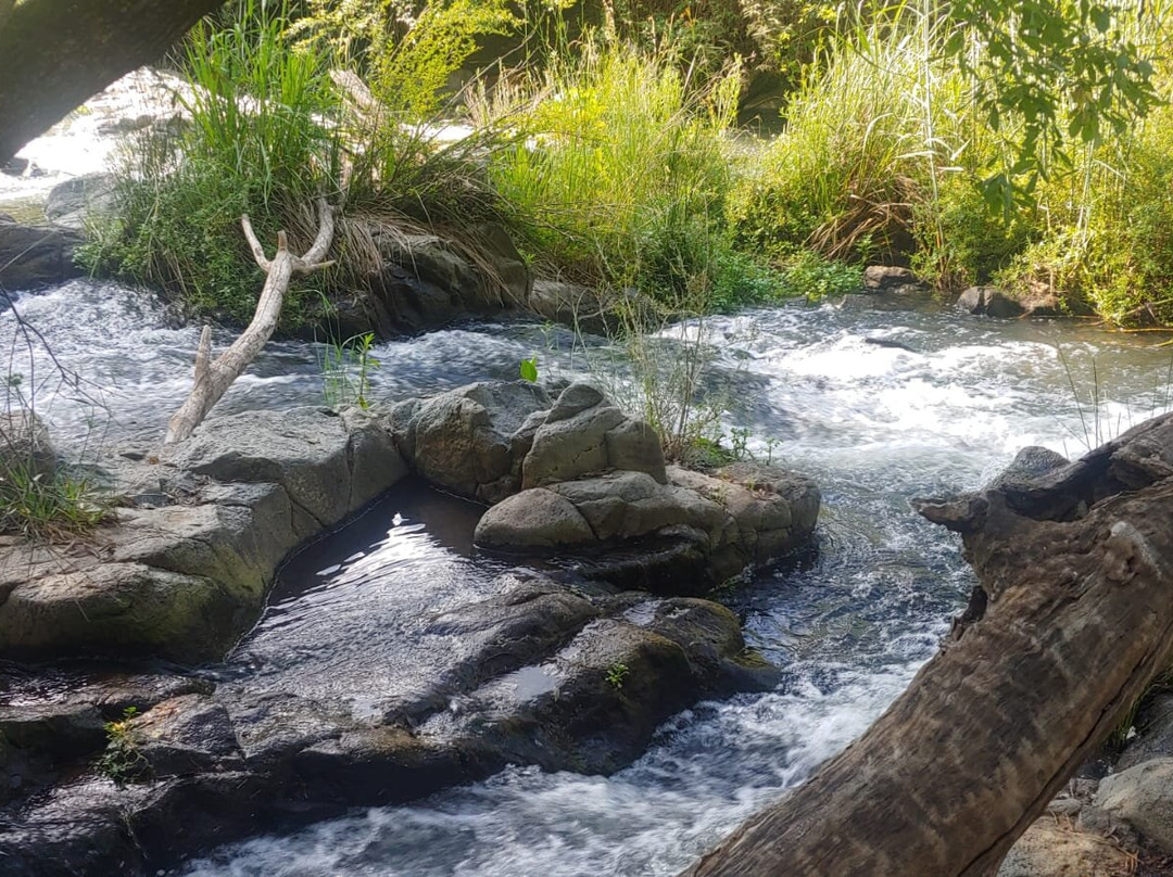 Magalies Sleepy River-Magaliesburg必去景点