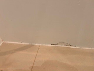 The Executive Inn主图