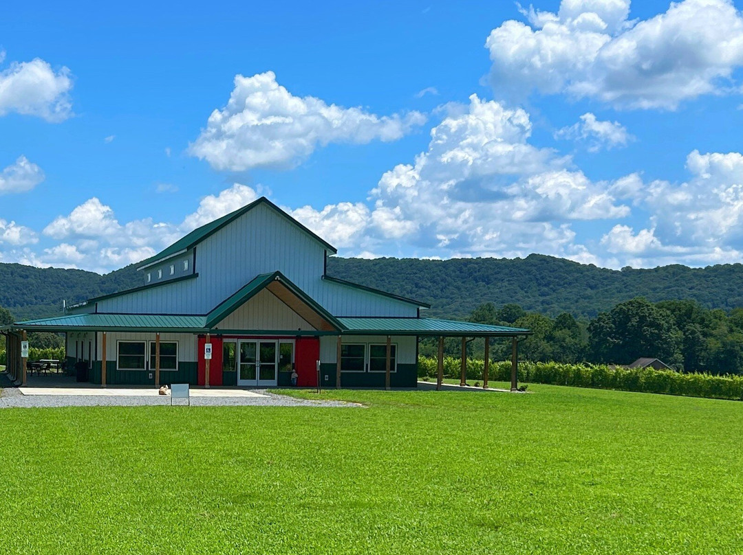 Castello Barone Vineyards And Winery-Ronda必去景点