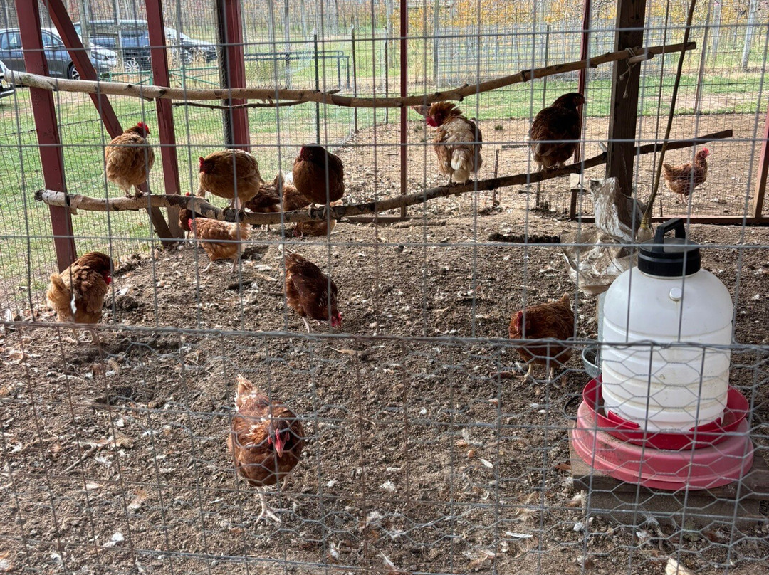 Hacklebarney Farm Cider Mill-Chester必去景点