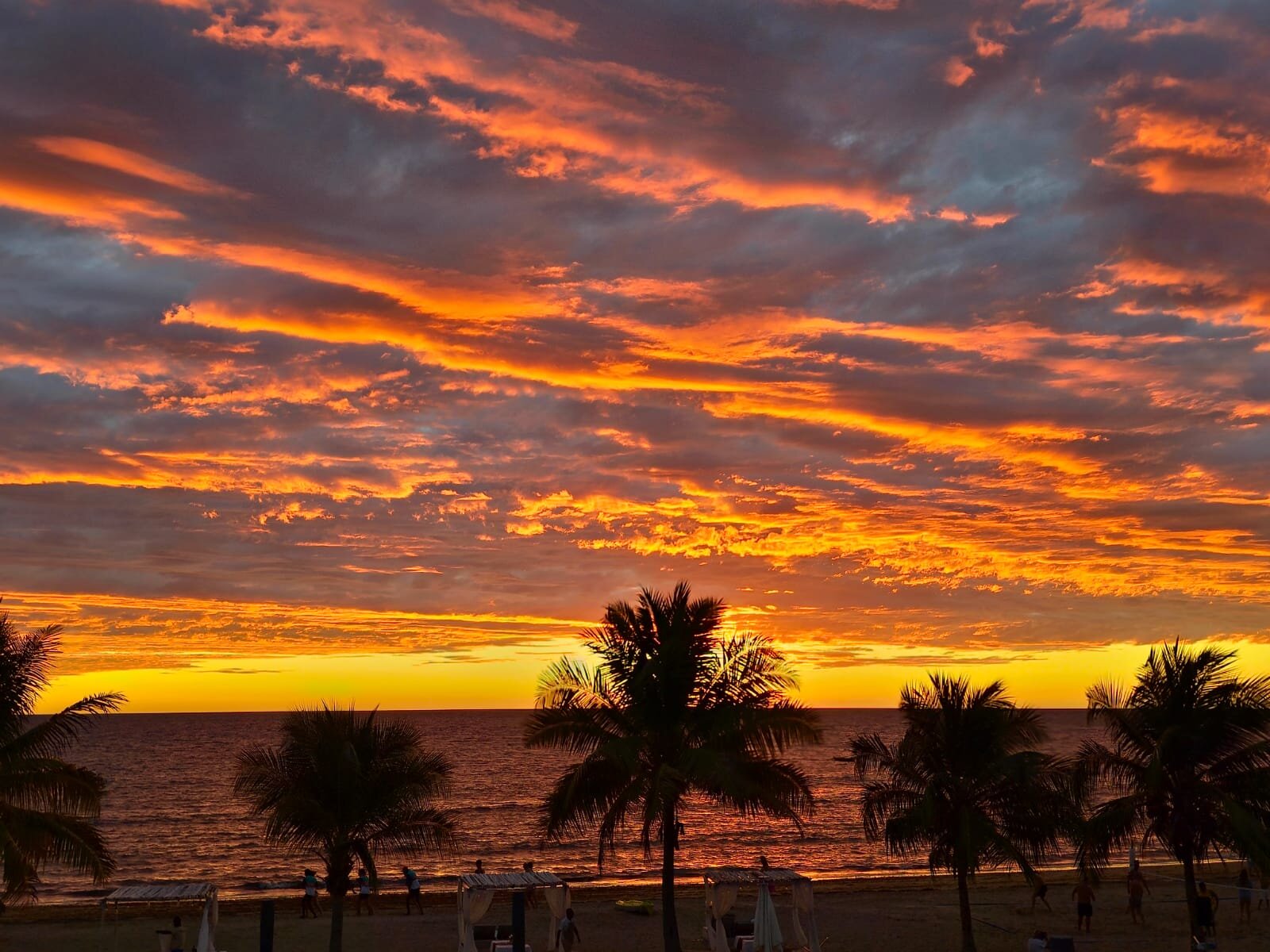棕榈海滩度假村和水疗中心-泳池