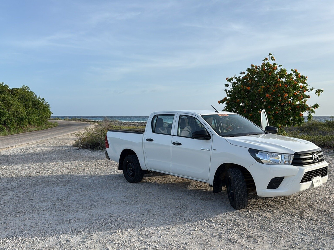 123 Car Rental Bonaire-Kralendijk必去景点