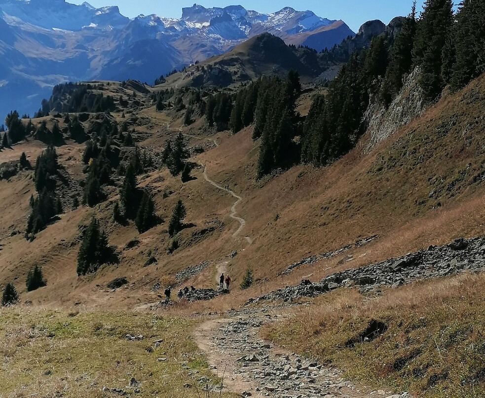 Hotel Kreuz & Post主图