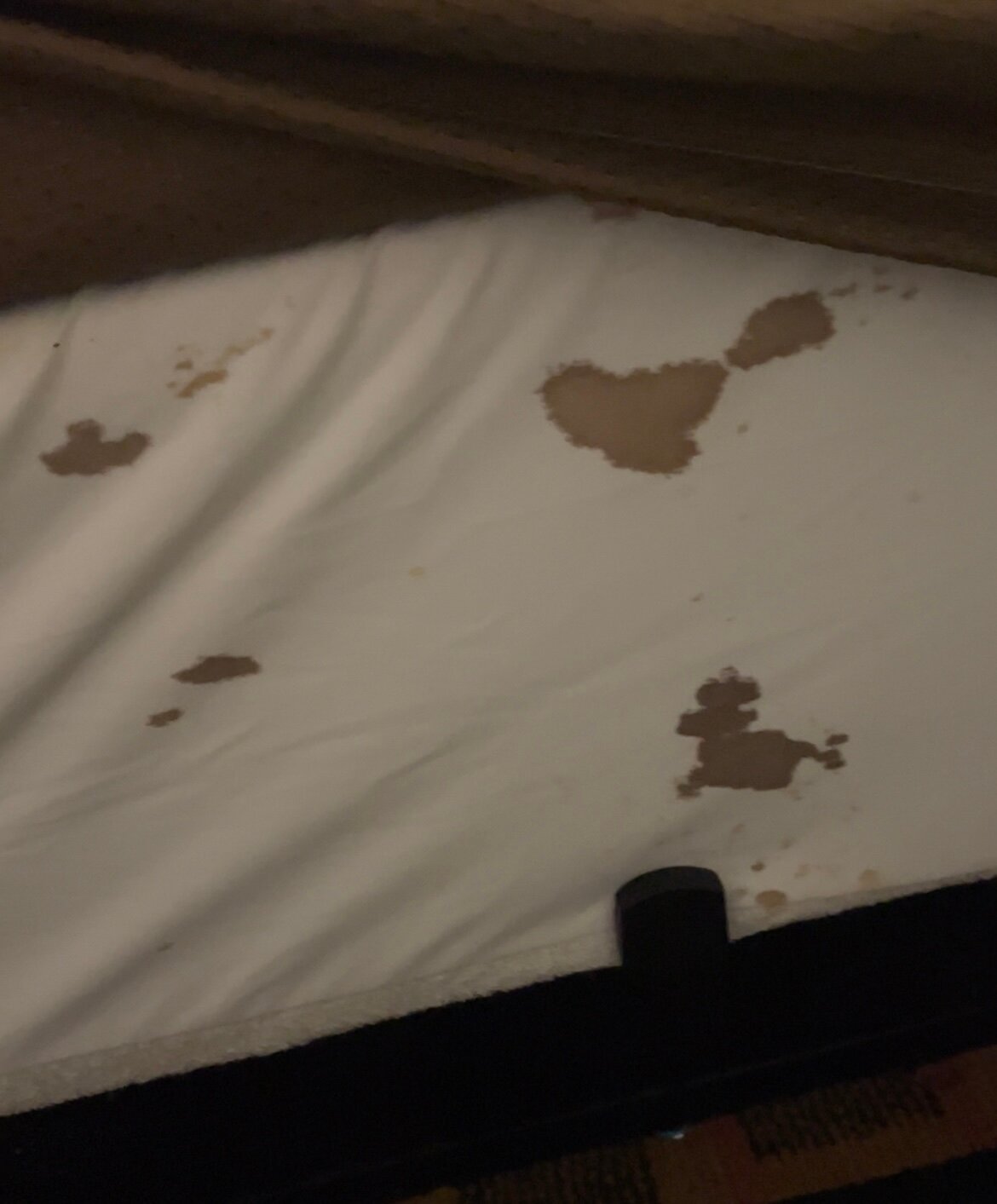 Green Bird Inn-官方