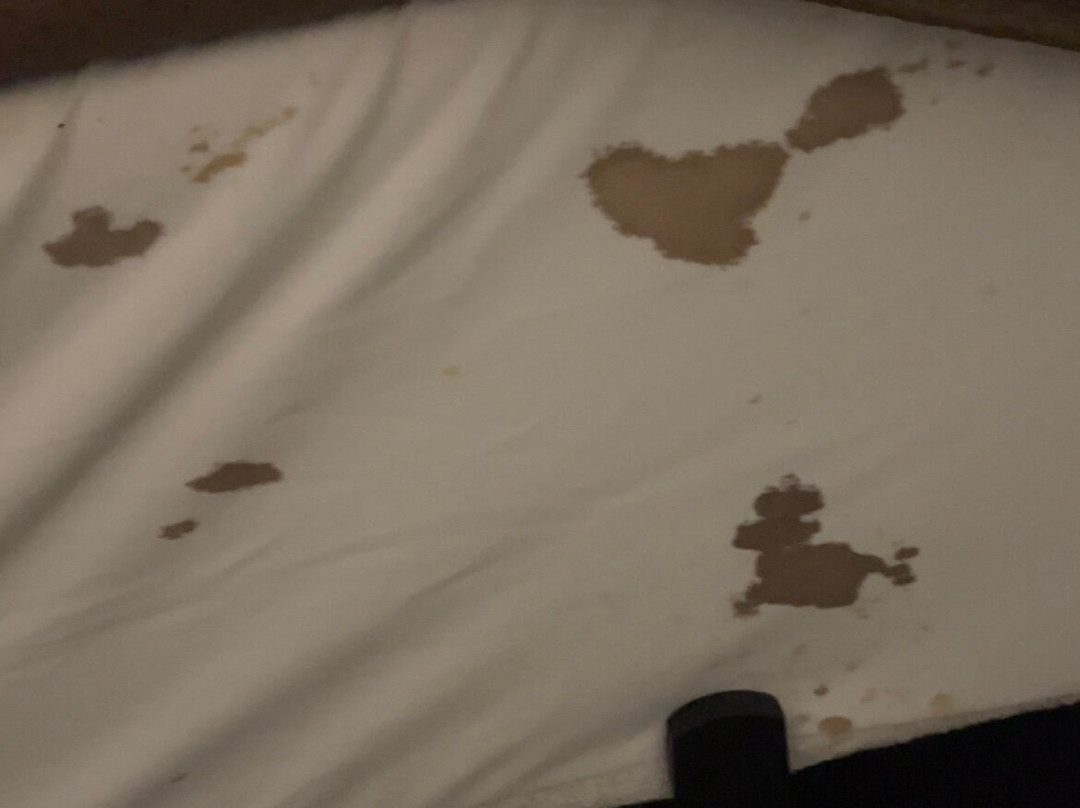 Green Bird Inn主图