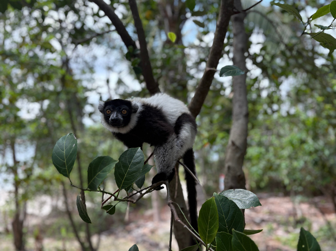 Masova excursions-诺西贝必去景点
