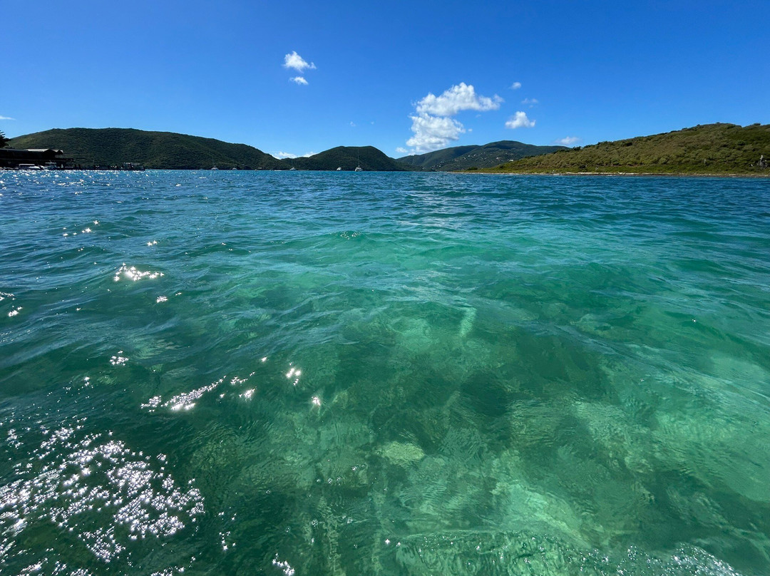 Blue Runner Charters And Boat Rentals-Spanish Town必去景点