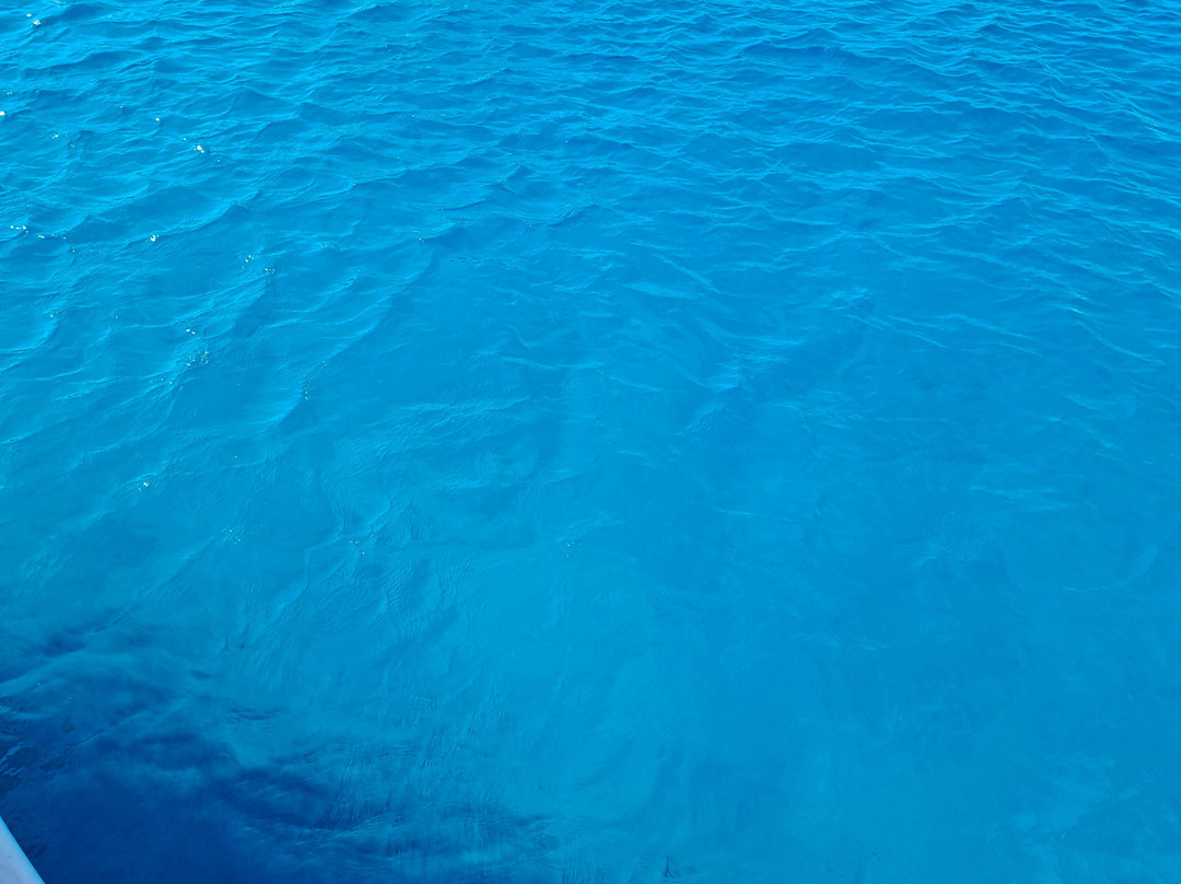 Ayia Napa Harbour-阿依纳帕必去景点