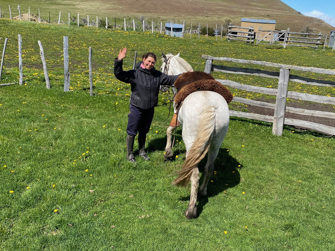 Galope Austral-Torres del Paine必去景点