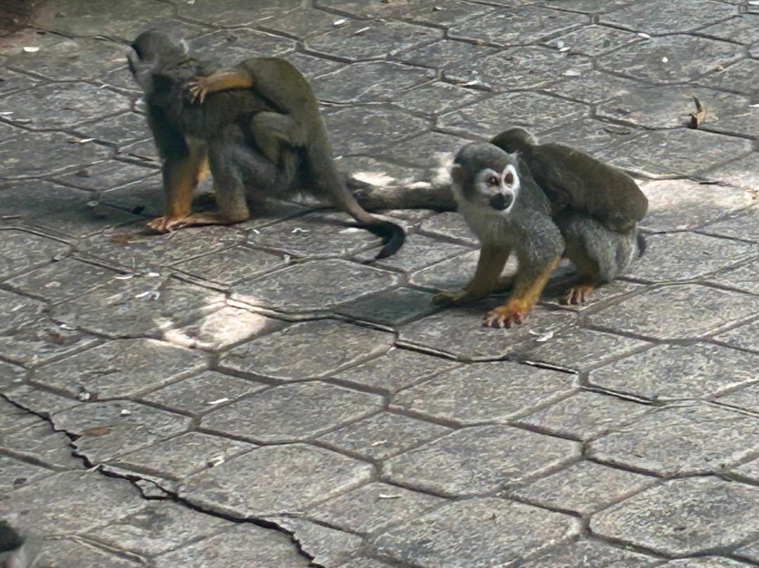 Runners Adventures-Las Galeras必去景点