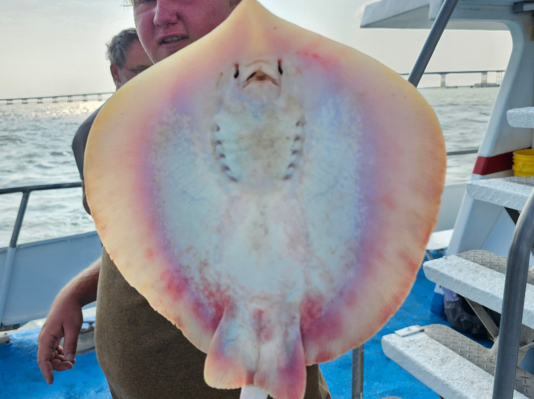 Dolphin Docks-Port Isabel必去景点