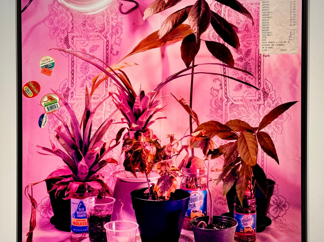 国际女性艺术博物馆-华盛顿特区必去景点