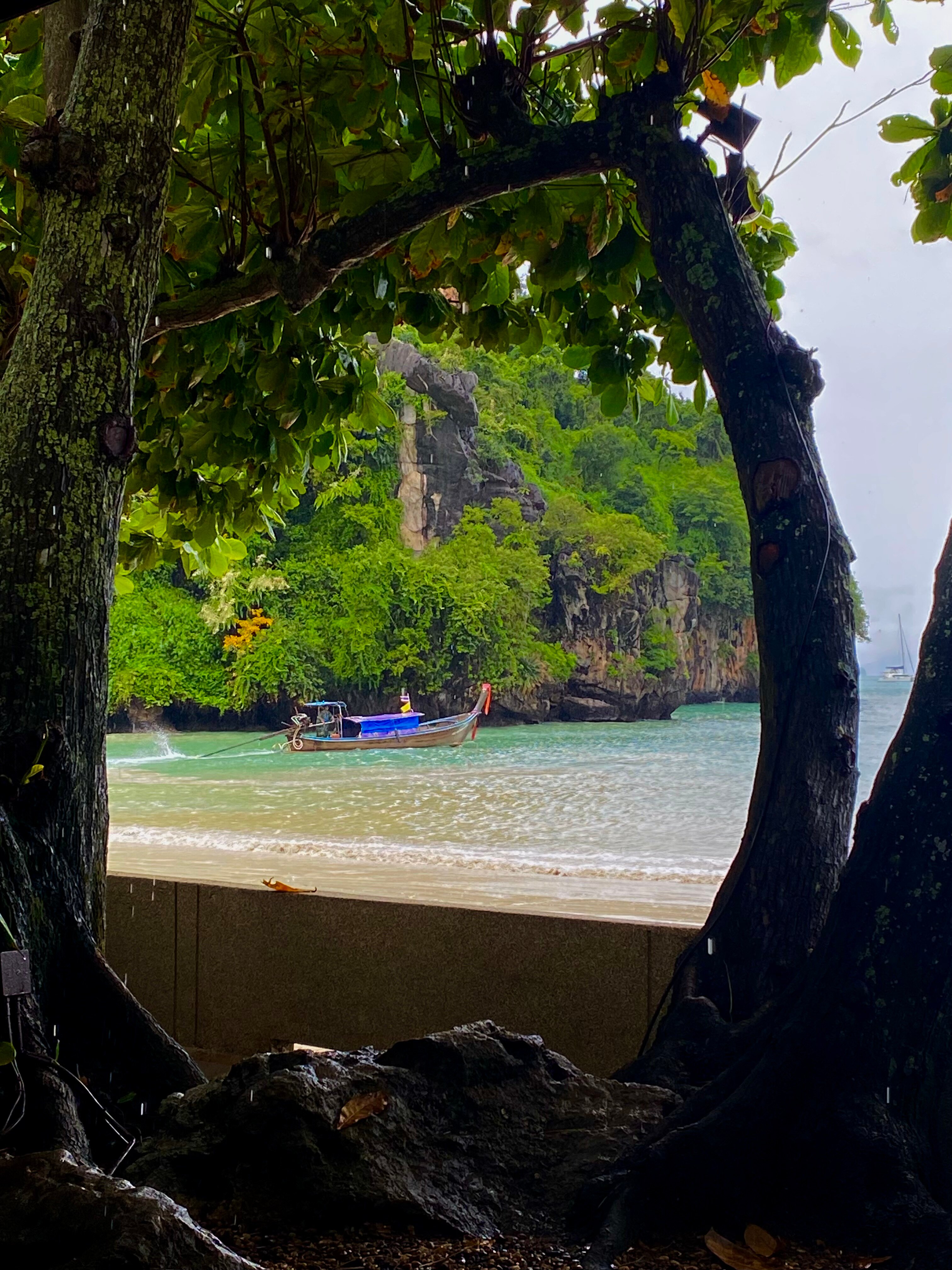 瑞亚维德度假村-泳池