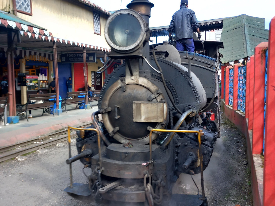 Darjeeling Toy Train Maybe Cancelled-大吉岭必去景点
