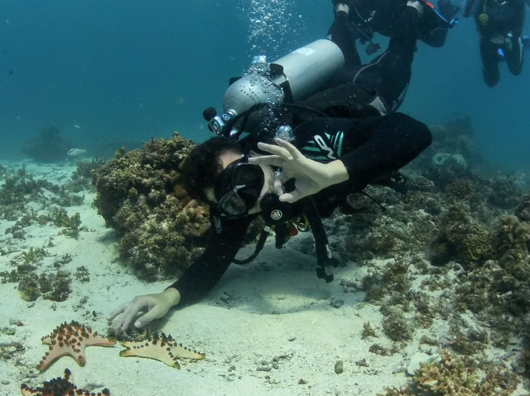 Tropical Divers Dive Center-达瑙市必去景点