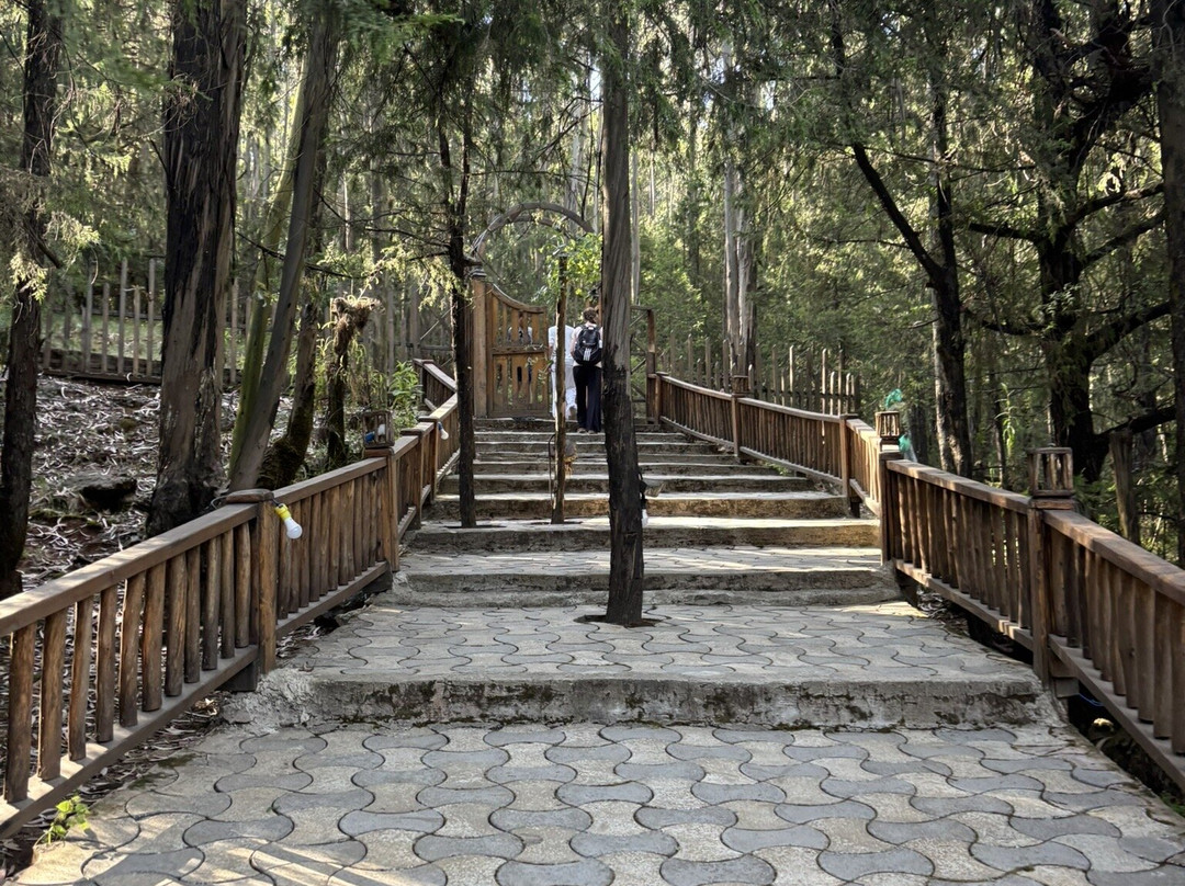 Kuriftu Entoto Adventure Park-亚的斯亚贝巴必去景点