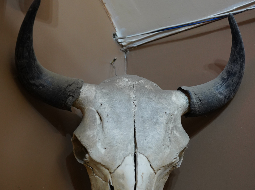 Nagley's Store-塔尔基特纳必去景点