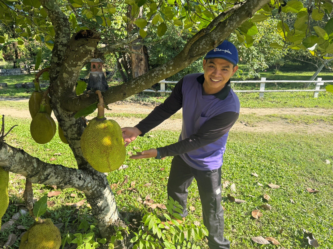 巴德酒店住宿-Saimoonbury Resort