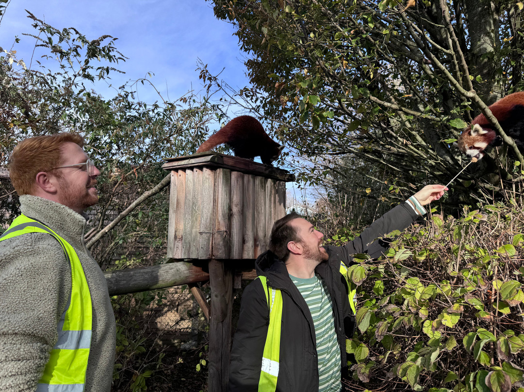 Wingham Wildlife Park-Wingham必去景点