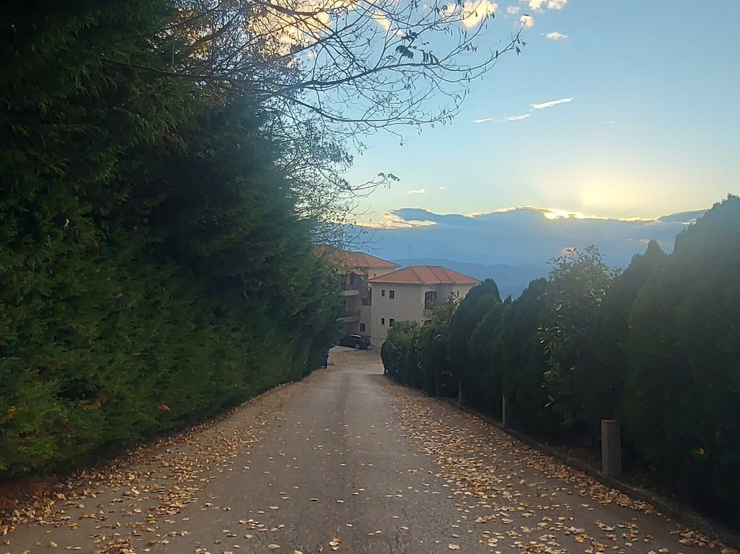 Pilion Terra Escape Hotel主图