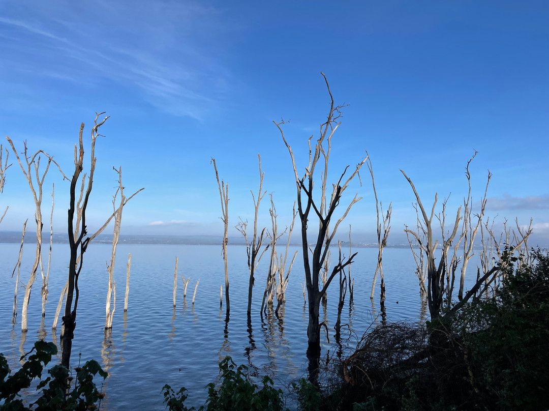 Endless Thrill Adventures-内罗毕必去景点